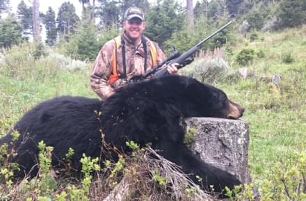 Bear hunting in Central Montana