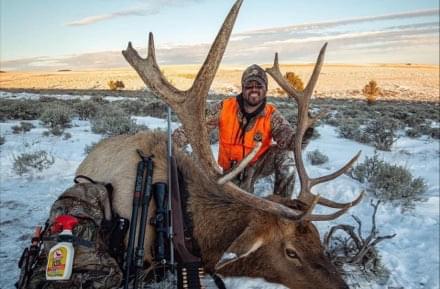 Montana Elk hunting