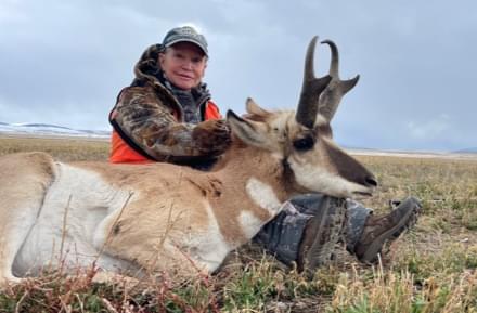 Archery elk hunting in Montana
