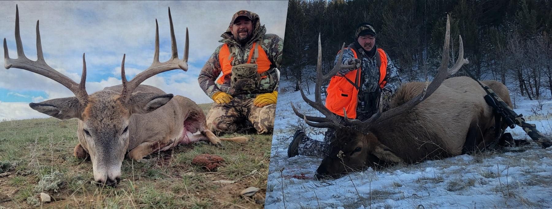 Rifle elk hunting in Montana