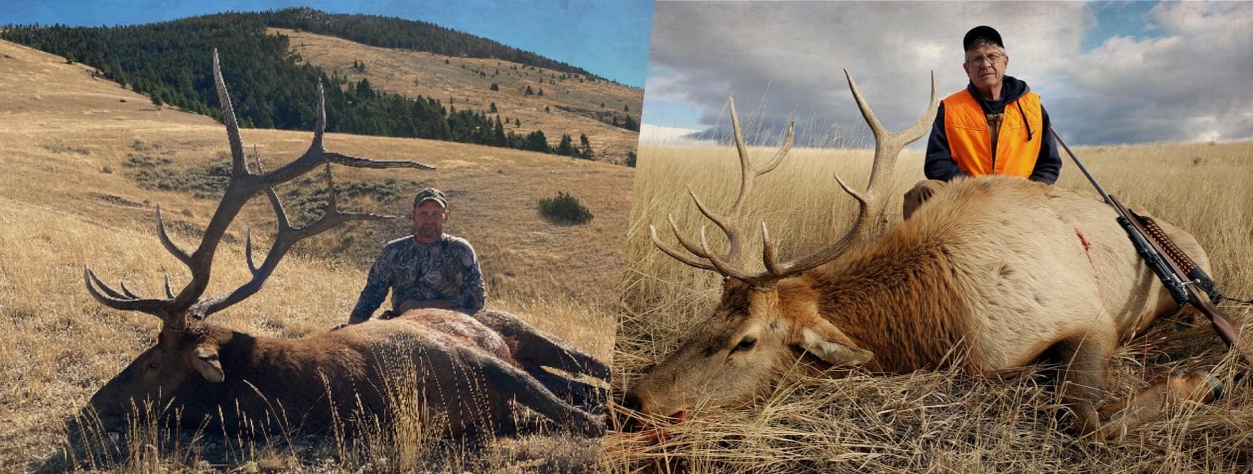 Guided deer hunting in Montana