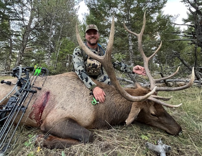 Bear hunting in Central Montana