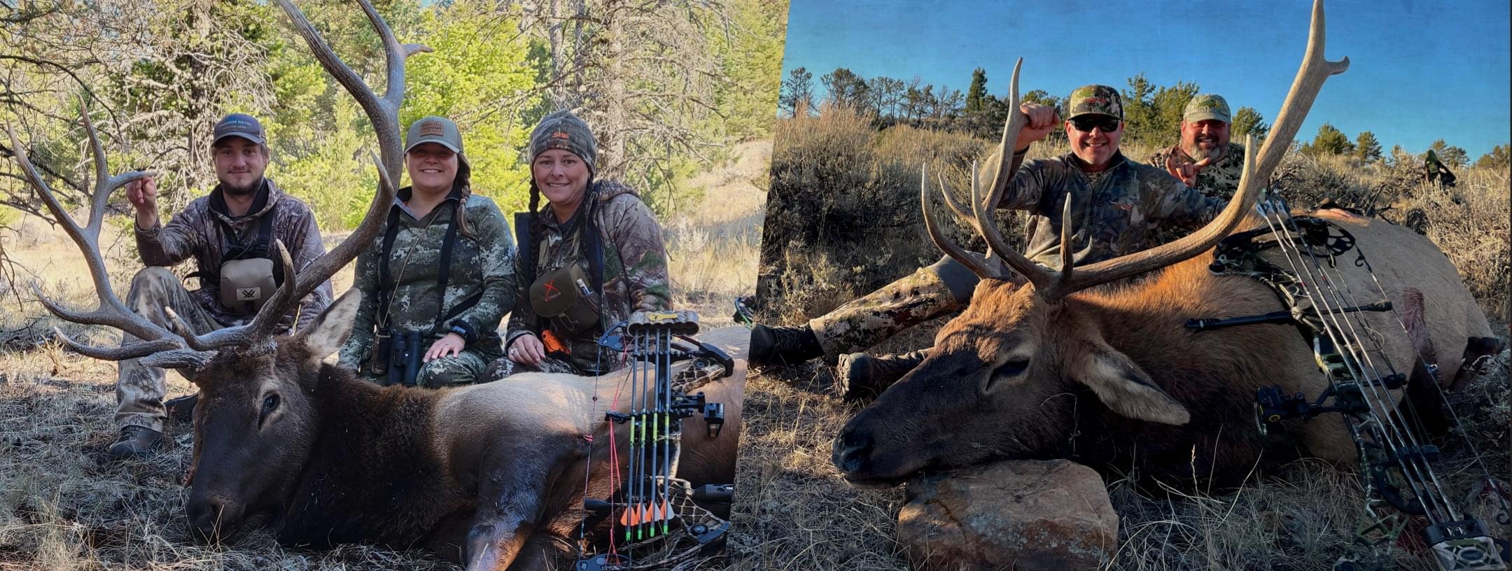 Montana Elk hunting
