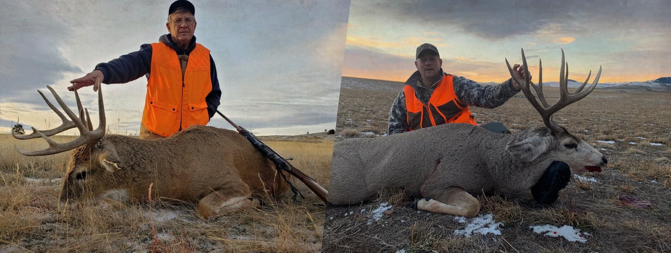 Archery elk hunting in Montana

        