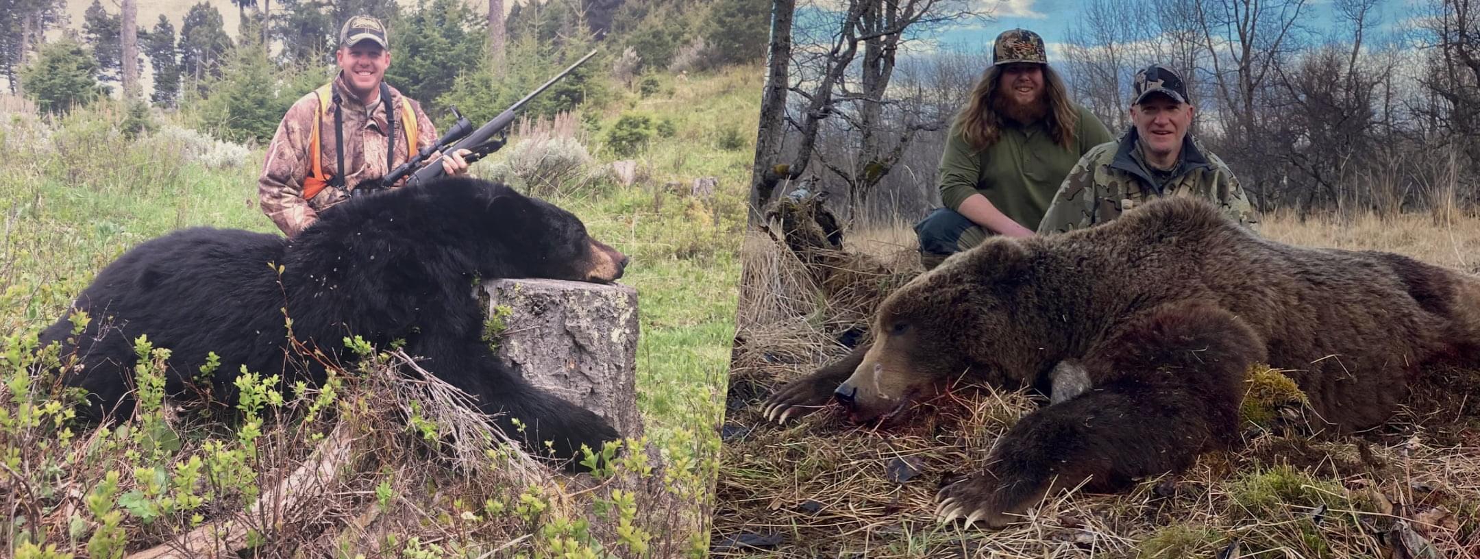 Guided deer hunting in Montana