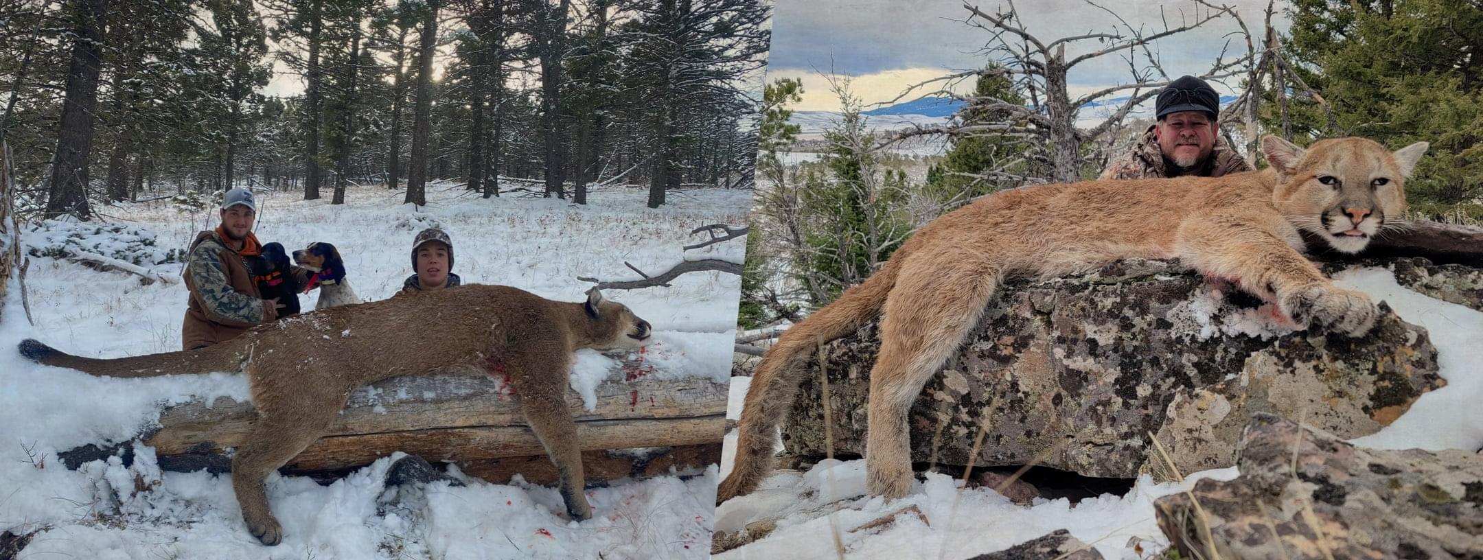 Montana outfitters