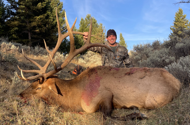 Rifle elk hunting in Montana
